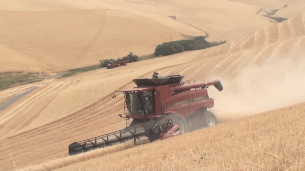 Case IH Gif