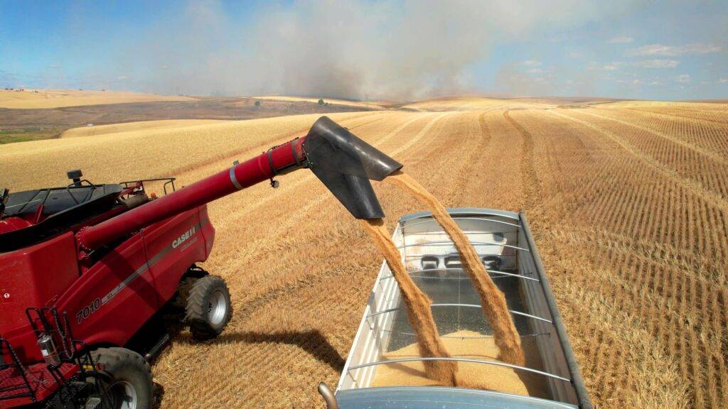 CASE- IH Pivoting Spout