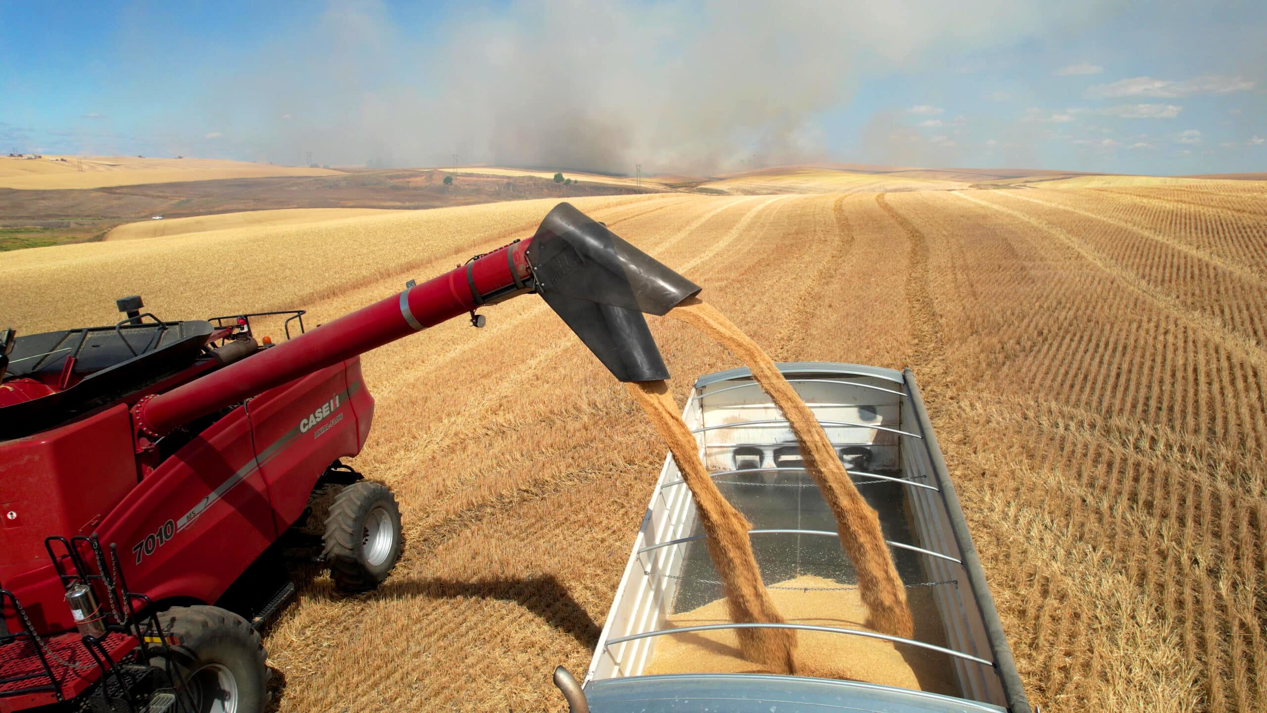 CASE- IH Pivoting Spout