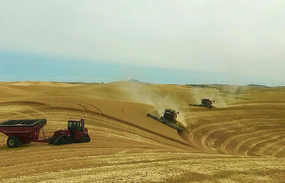 hillco photo contest, case, case ih, farming, hillco machine, ag, agriculture