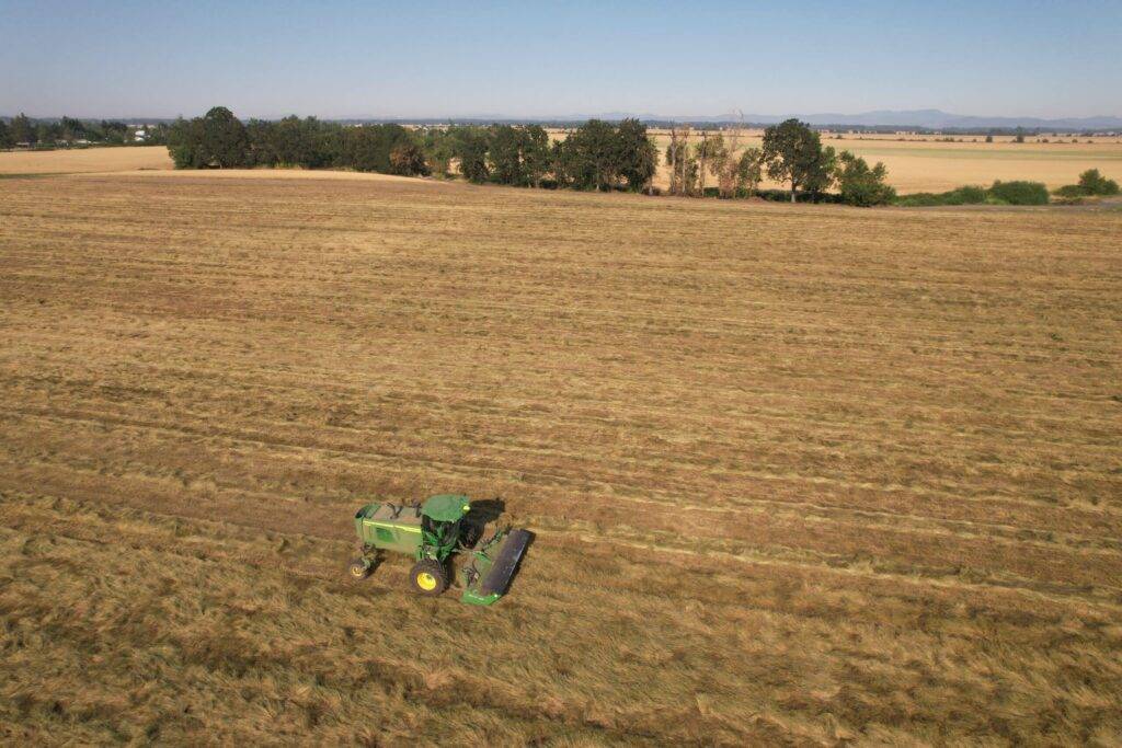 sc1500, hillco, hillco header, specialty header, specialty crop header, headless, oregon harvest 2024