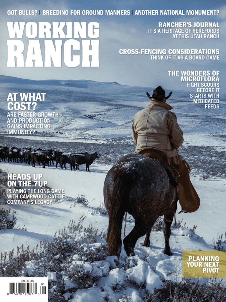 working ranch magazine, hillco magazine, wrap twine remover, hillco feature