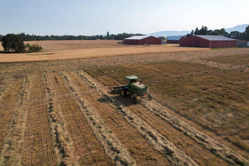 Aerial view of a John Deere windrower equipped with the Hillco SC1500 Specialty Crop Header creating clean, uniform windrows in a grass seed field at Malpass Heritage Farms in Oregon. The image highlights the consistent windrow formation and minimal crop disturbance, demonstrating the SC1500's precision and performance as described in Ryan Malpass's operator testimony.