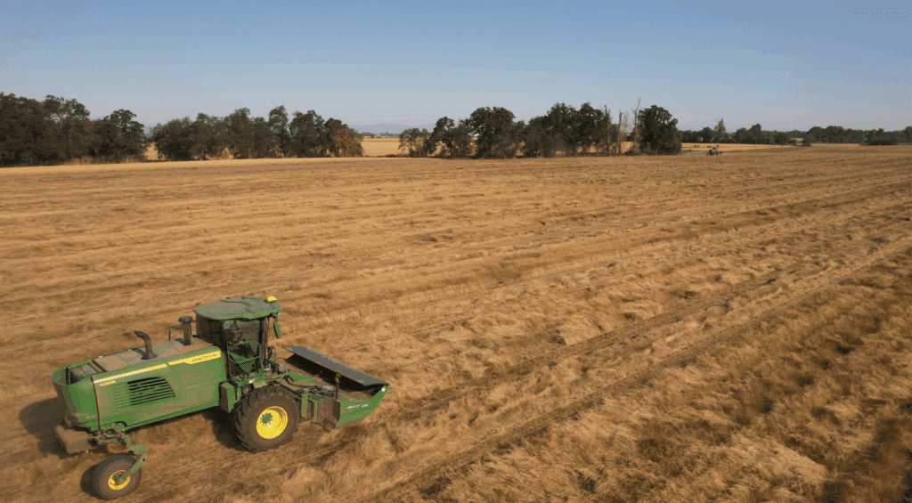 Swather, Malpass Heritage Farms, Hillco, Specialty Crop Head, Sc1500, Header, Hillco Technologies, Harvest, Harvest 2024