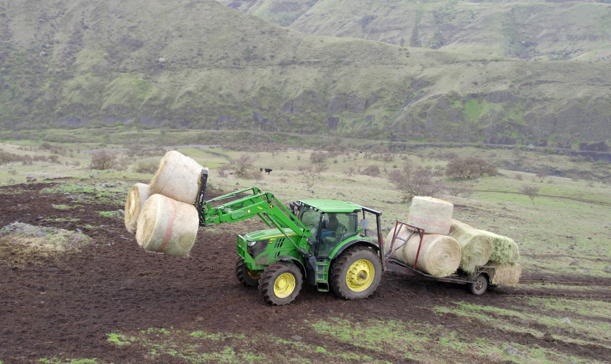 Hillco Wrap Twine Remover