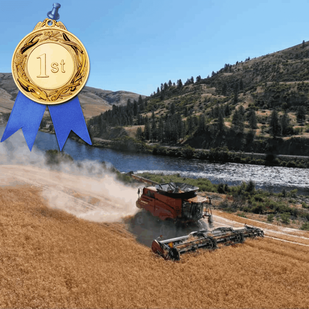 Hillco Photo contest, photo contest winner, hillco photo contest 2025, first place