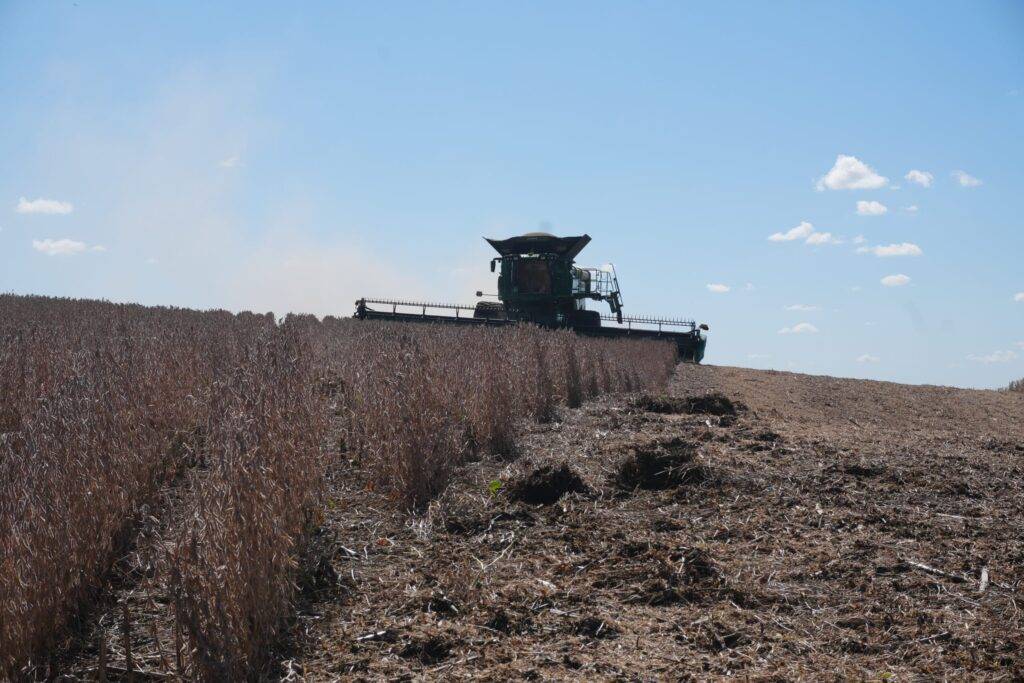 Hillco soybean harvest