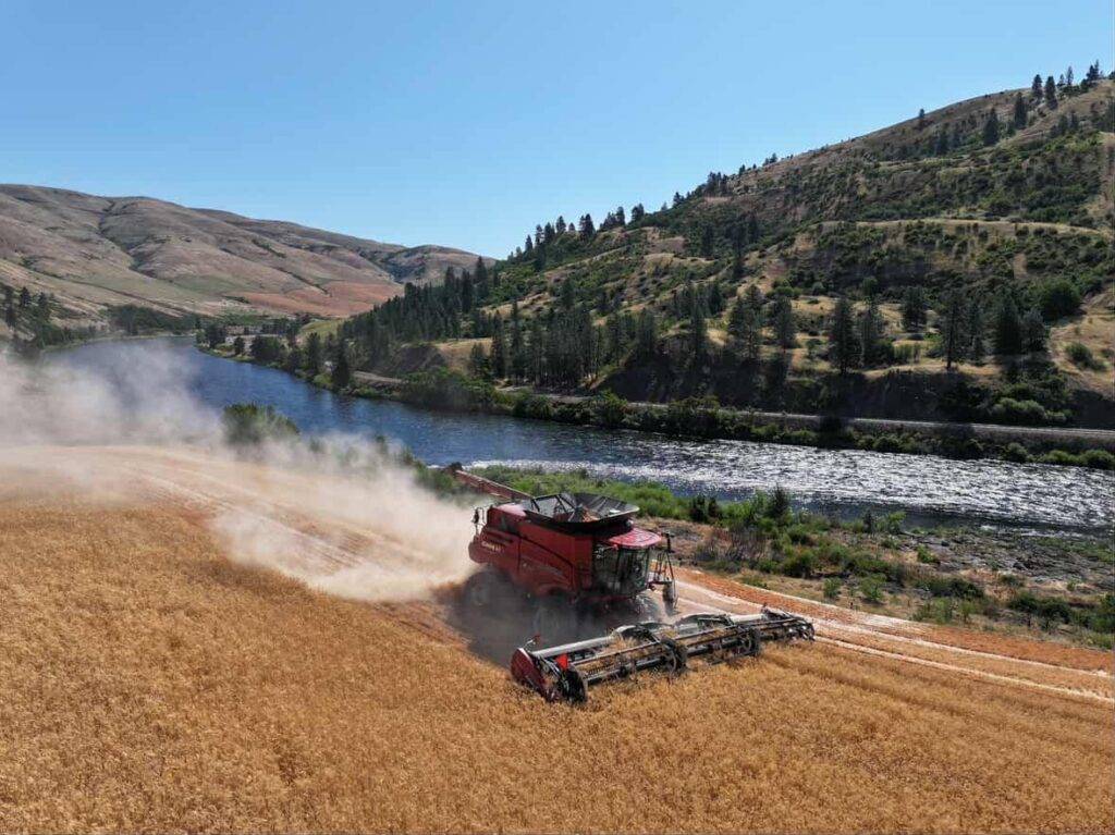 Heimgartner Farms, Case IH, Wheat Harvest, River valley terrain, hillco photo contest, hillco leveler, hillco machine