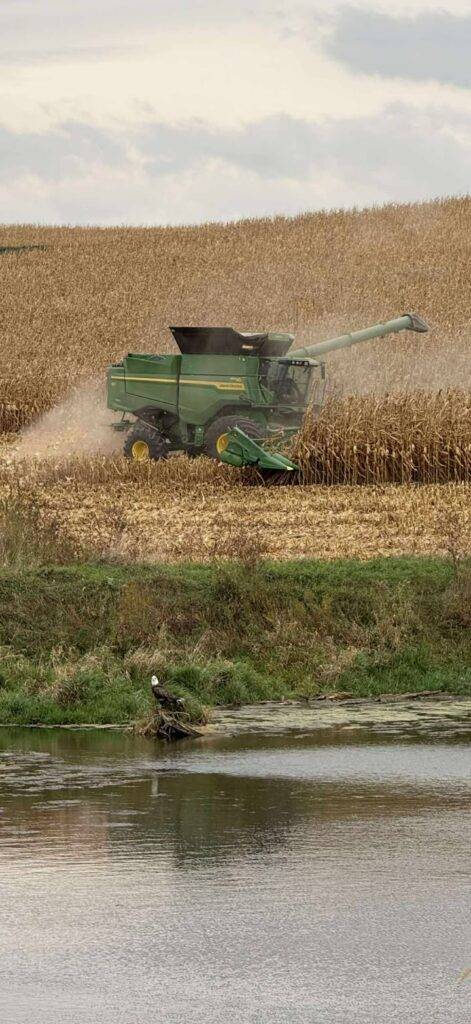 Hillco machine, midwest harvest, 2025 hillco photo contest, eagle