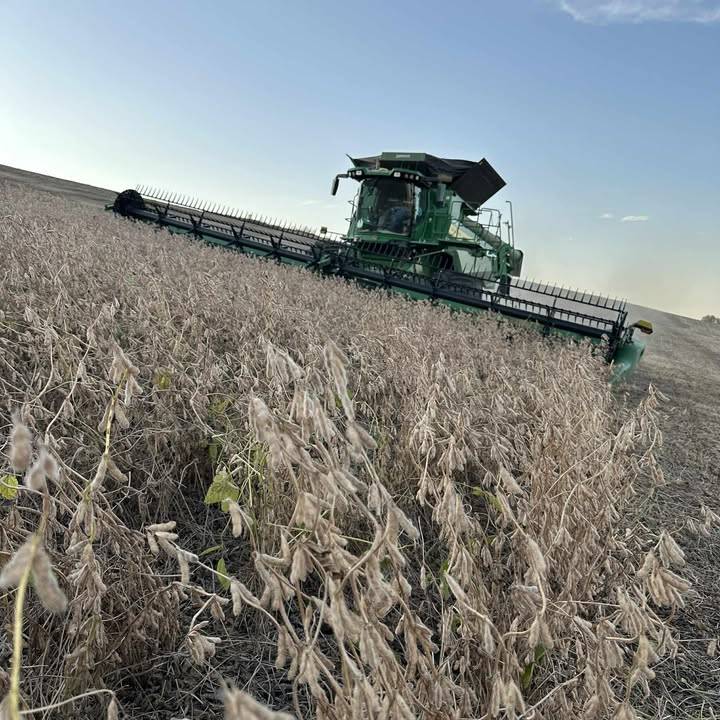 soybeans, harvest, Hillco, hillco photo contest, leveling system, harvest efficiency, hillco midwest, midwest harvest, iowa harvest hillco, topf farms