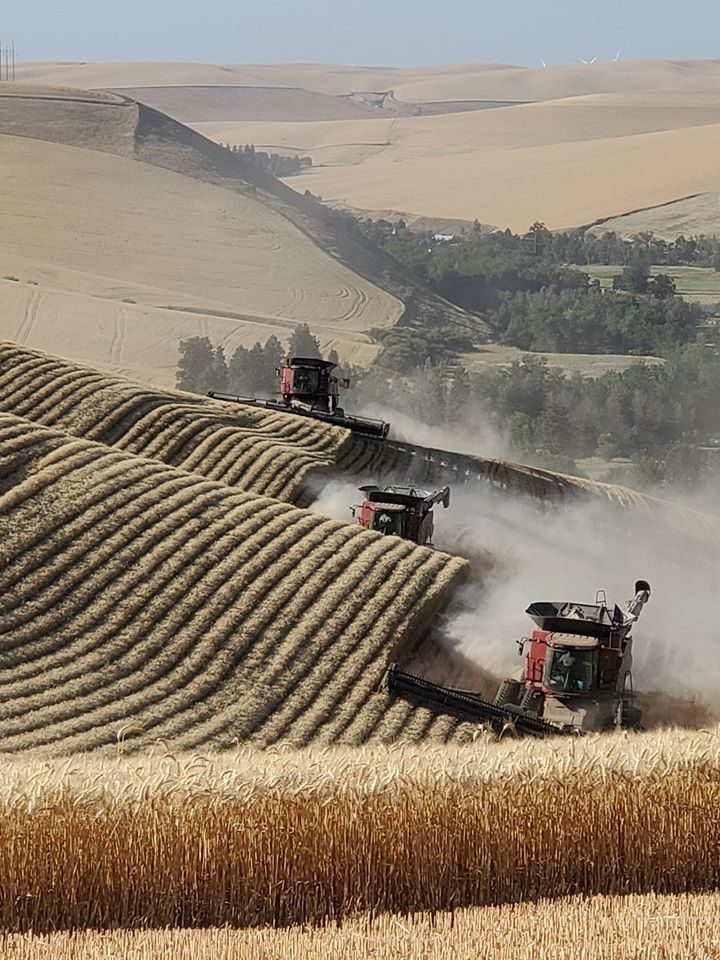 hillco, case ih, leveling, leveling system, hillco technologies