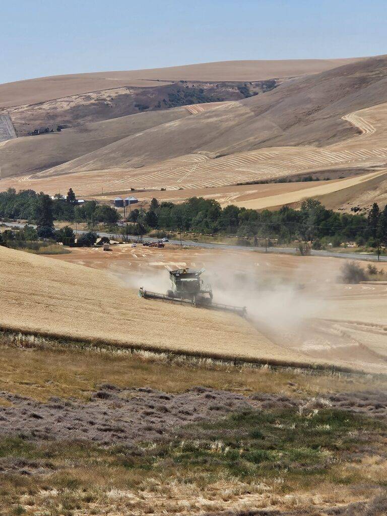 Hillco X9, Hillco Hillside, Hillside X9, john deere, Schwartz Brothers Farms, Hillco prototype, X9, wheat, grain saving