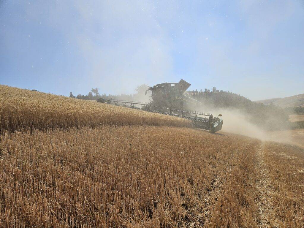 Hillco X9, Hillco Hillside, Hillside X9, john deere, Schwartz Brothers Farms, Hillco prototype, X9, wheat, grain saving