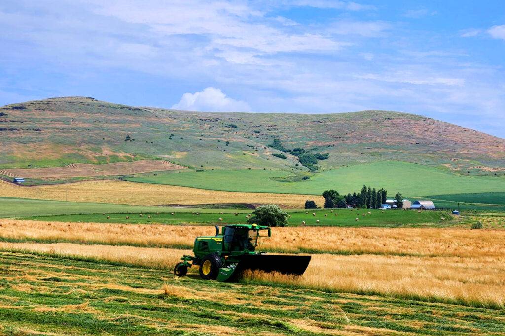 Hillco Specialty Crop Header, hillco header, sc1500, hillco head, specialty crops