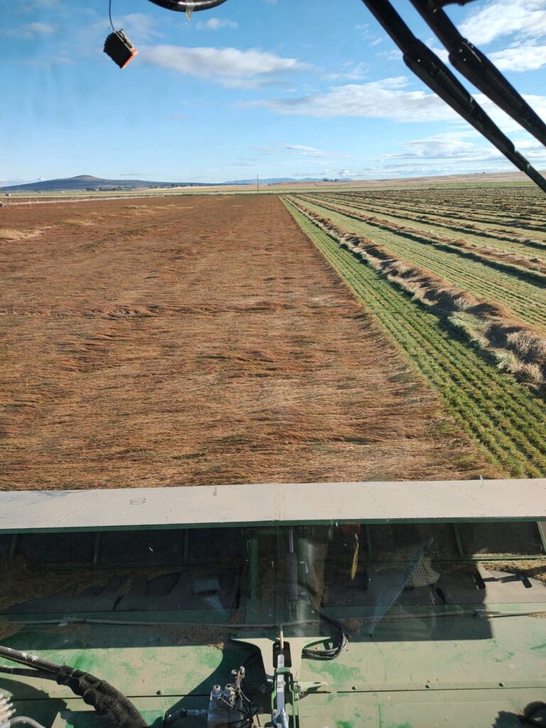 hillco header, specialty crop heaver, bluegrass harvest, hillco specialty header, hillco sc1500, sc1500, bluegrass, hillco header harvest, john deere, w260r header