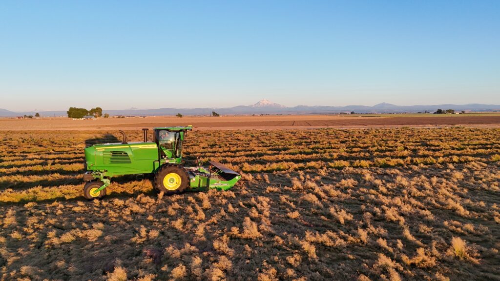 hillco header, specialty crop heaver, bluegrass harvest, oregon harvest, hillco specialty header, hillco sc1500, sc1500, oregon bluegrass, hillco header harvest, john deere, w260r header