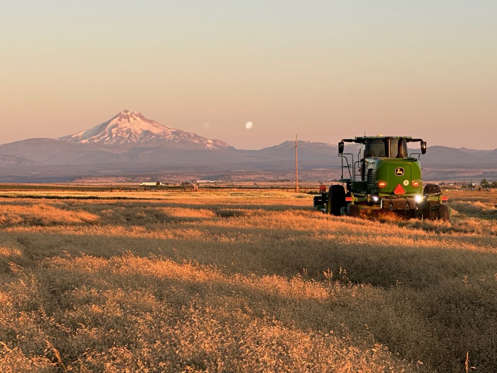 hillco header, specialty crop heaver, bluegrass harvest, oregon harvest, hillco specialty header, hillco sc1500, sc1500, oregon bluegrass, hillco header harvest, john deere, w260r header