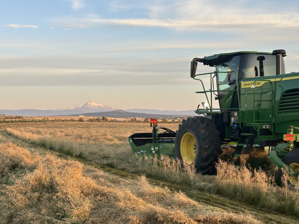 hillco header, specialty crop heaver, bluegrass harvest, oregon harvest, hillco specialty header, hillco sc1500, sc1500, oregon bluegrass, hillco header harvest, john deere, w260r header