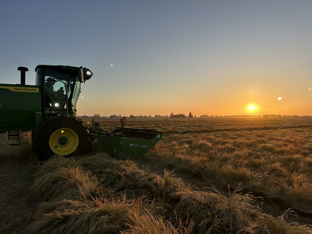 hillco header, specialty crop heaver, ryegrass harvest, oregon harvest, hillco specialty header, hillco sc1500, sc1500, oregon ryegrass, hillco header harvest, john deere, w260r header