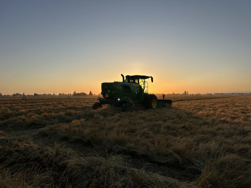 hillco header, specialty crop heaver, ryegrass harvest, oregon harvest, hillco specialty header, hillco sc1500, sc1500, oregon ryegrass, hillco header harvest, john deere, w260r header