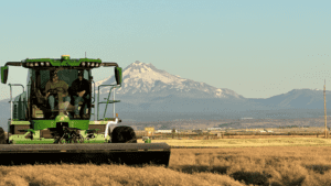 hillco head, hillco header, hillco specialty crop header, sc1500