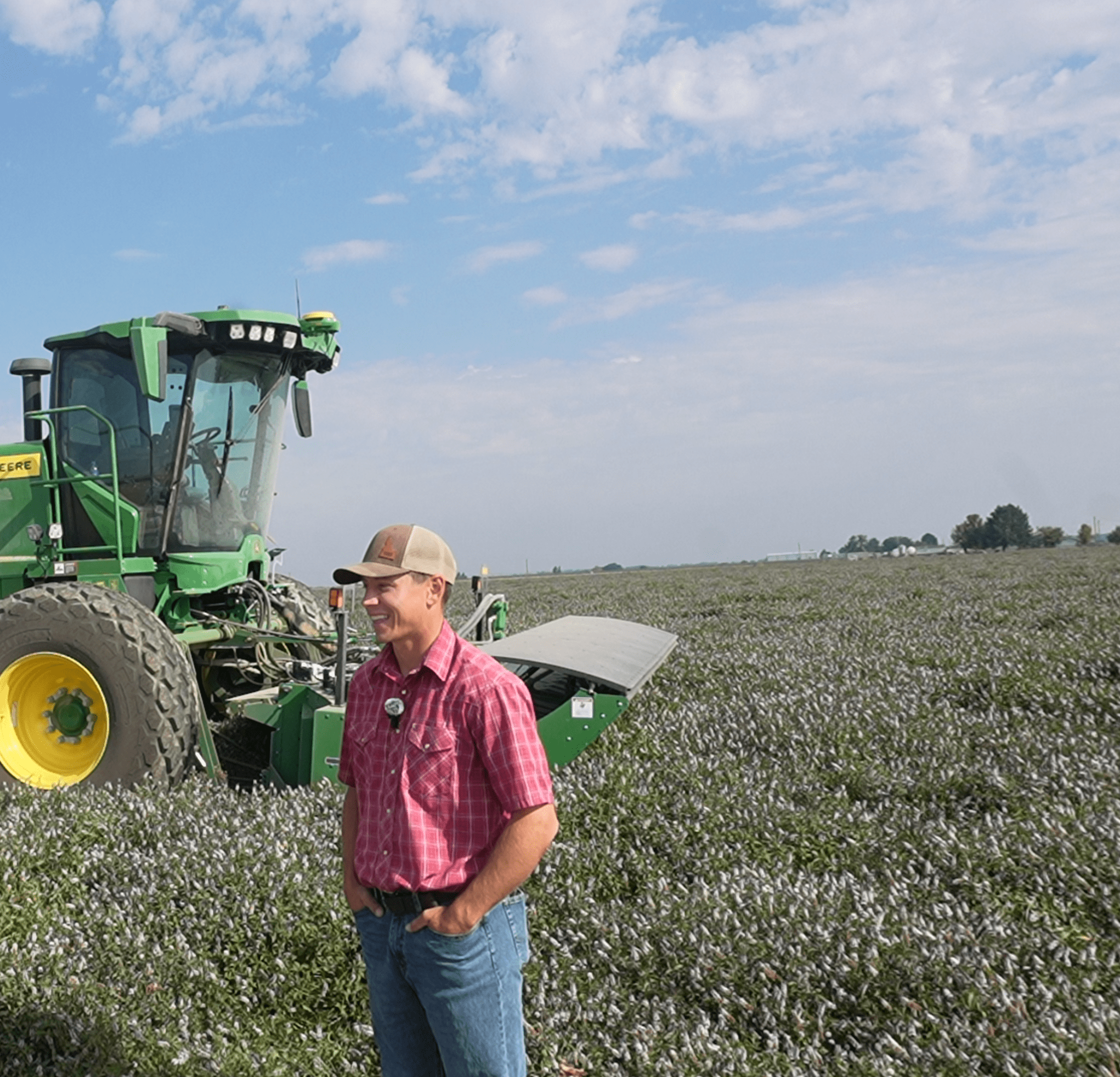 christensen farms header, hillco head, hillco specialty crop header, mint crop, w260r