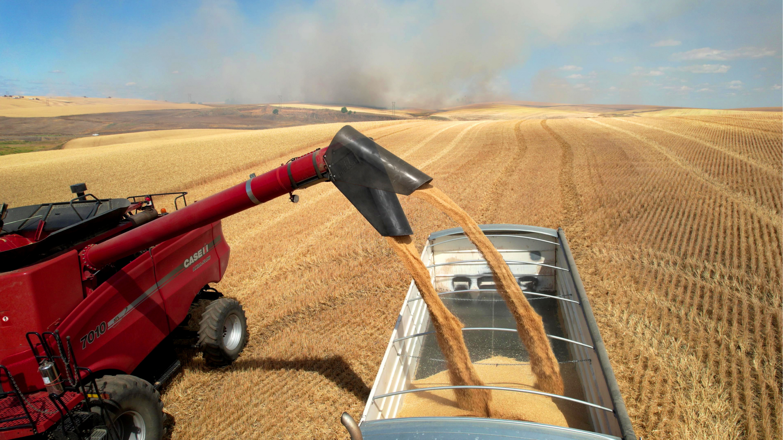 case pivot spout, tippy spout for case, case ih tippy spout, hillco spout, hillco case spout tip, spout tip case